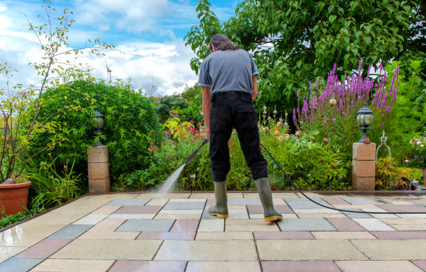 Best Sidewalk and Walkway Pressure Cleaning in Isanti, MN